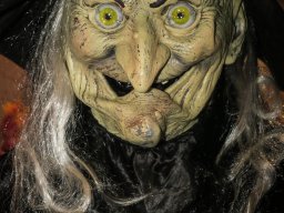 BB 05 NEW MEMBER - GOOD DANCER